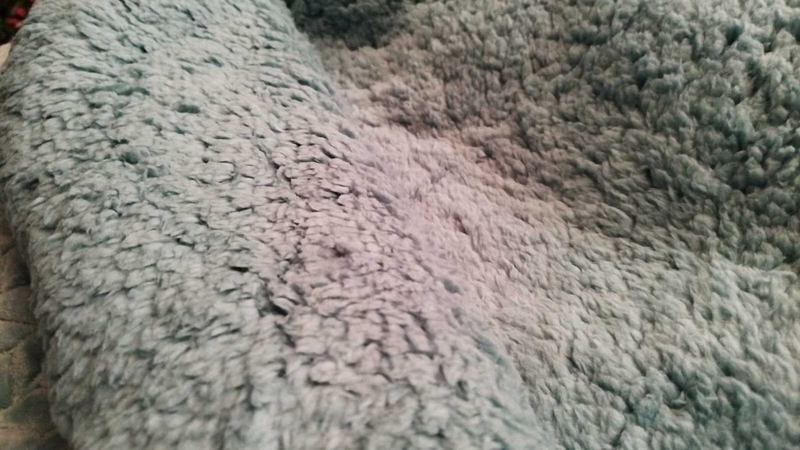 Edredón Sherpa Nórdico Aqua Jacquard Espiga: Sedalina Tacto Peluche, Sherpa Interior, 600grs Gramaje, 260cm Largo + Fundas Almohadas Regalo 50x70cm. - Imagen 7
